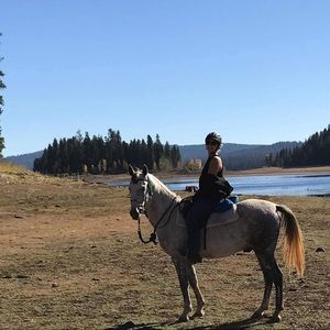 Meet your Posher, Meyl